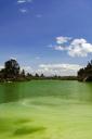Green Lake (free iPhone wallpaper)